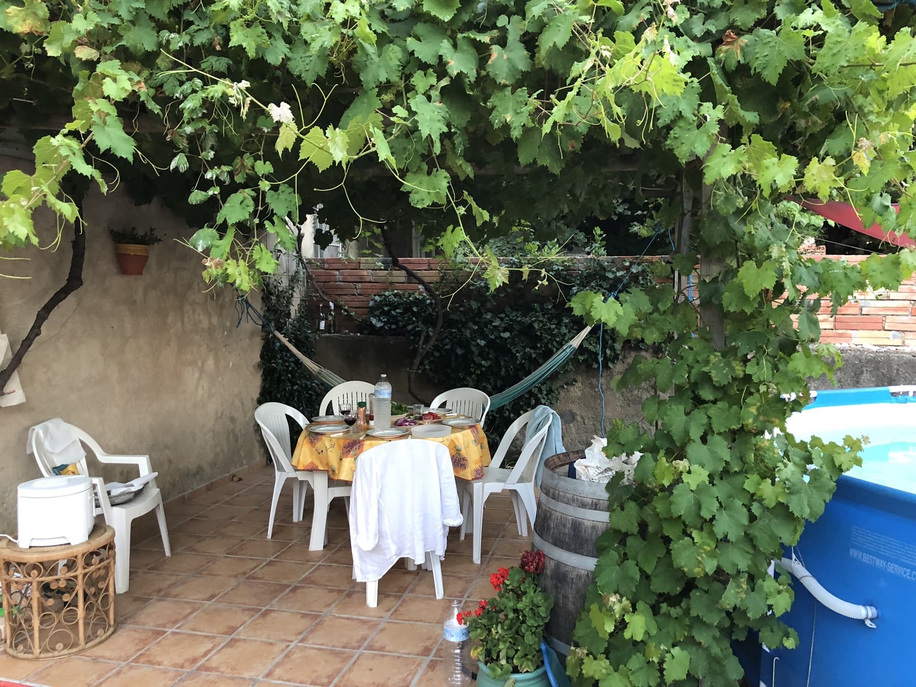 Poolen och uteplatsen under vinrankan